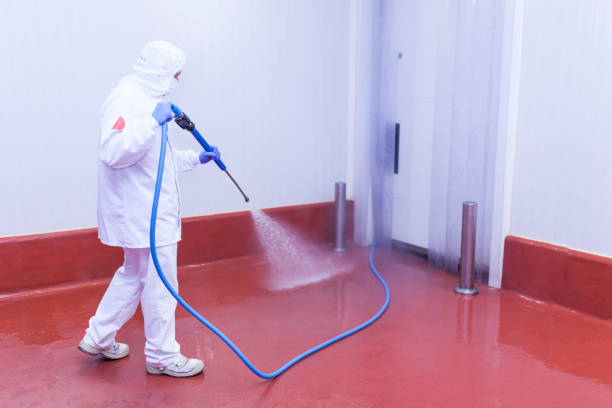 Playground Equipment Cleaning in Daytona Beach, FL