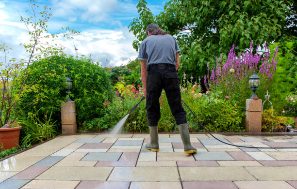 Best Animal Enclosure Cleaning  in Daytona Beach, FL